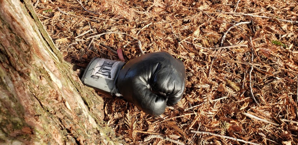 single abandoned boxing glove