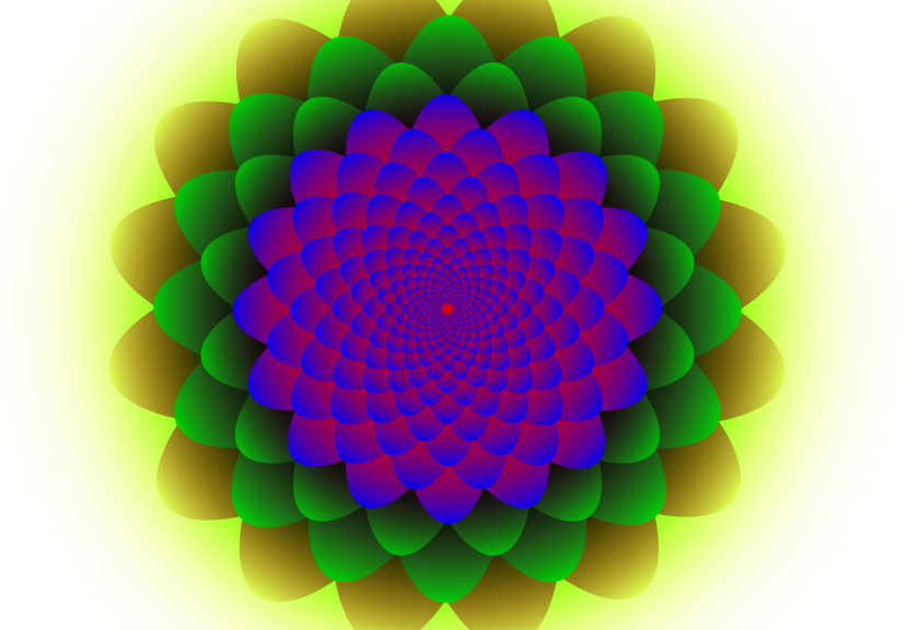 A colorful mandala with fuschia and violet petals turning into green and gold at the outer edge.